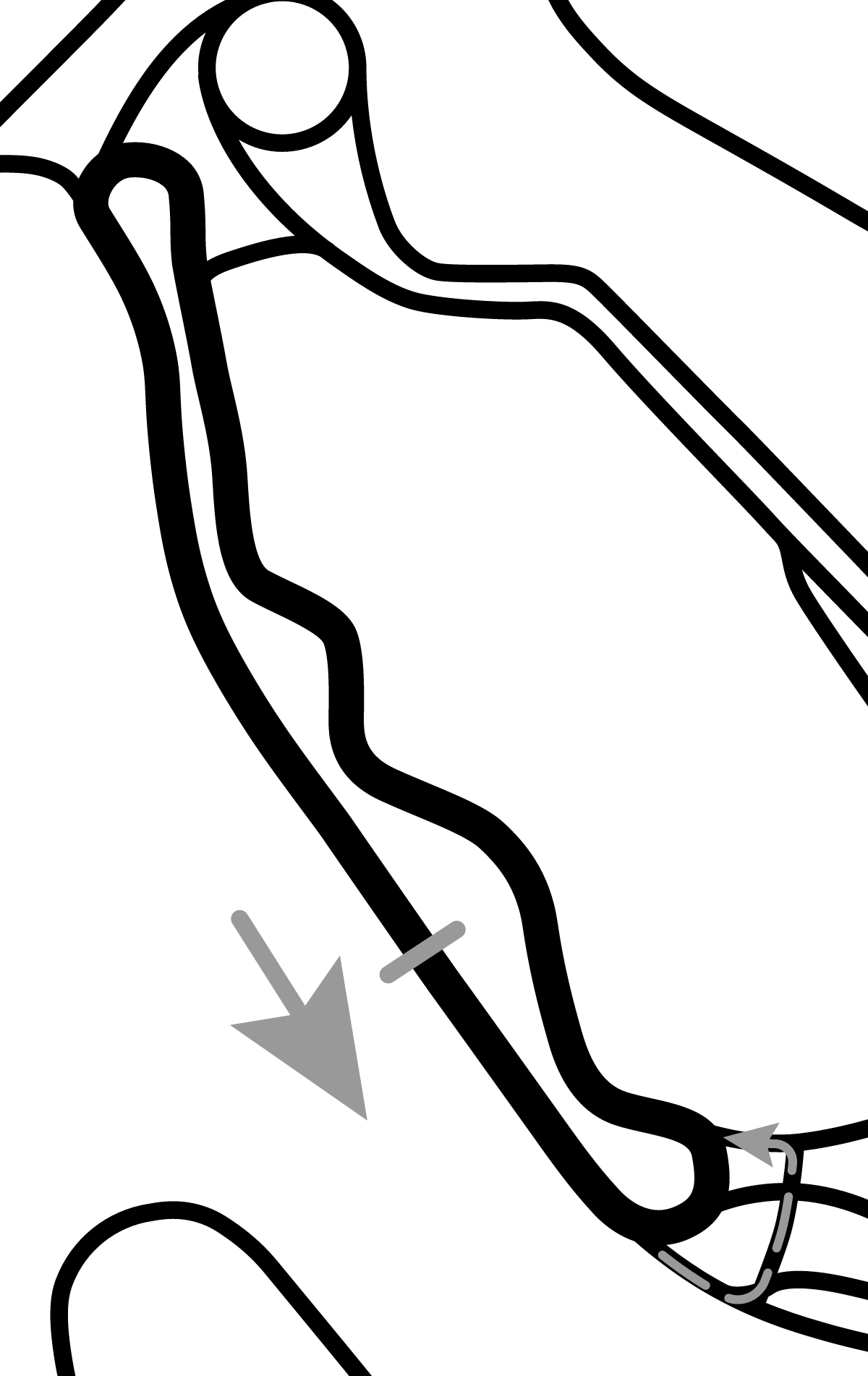 iRacing Hockenheimring Baden-Württemberg Porsche Experience Center - West 赛道地图预览（霍根海姆赛道）