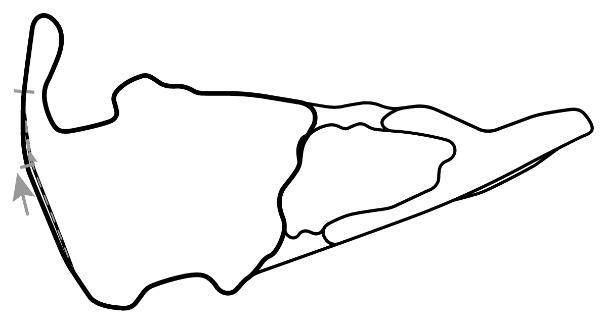 iRacing Virginia International Raceway North Course 赛道地图预览（弗吉尼亚国际赛道）