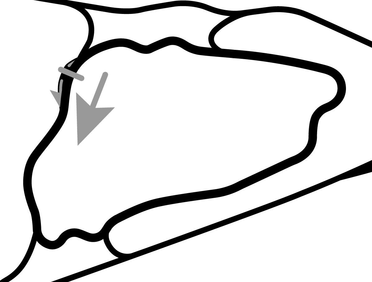iRacing Virginia International Raceway Patriot Course 赛道地图预览（弗吉尼亚国际赛道）